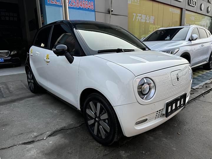 Ora Black Cat 2022 2022款 351km 豪华型 磷酸铁锂