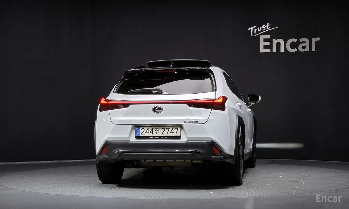 Lexus UX 2019 2.0 F-Sport 2WD