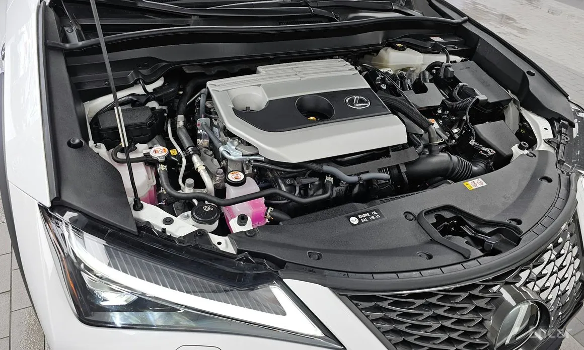 Lexus UX 2019 2.0 F-Sport 2WD