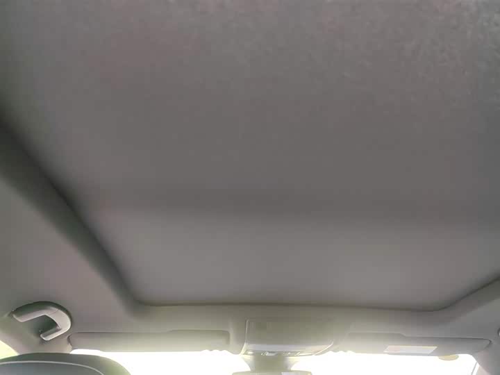 Volkswagen T-Roc 2023 2023款 300TSI DSG两驱星光版