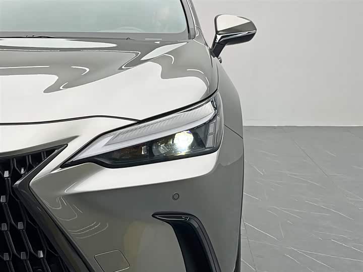 Lexus NX 2024 2024款 260 前驱 创驰版