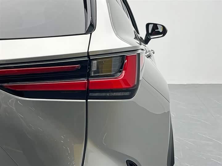 Lexus NX 2024 2024款 260 前驱 创驰版