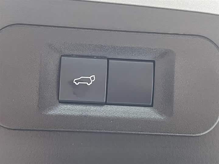 Lexus NX 2024 2024款 260 前驱 创驰版