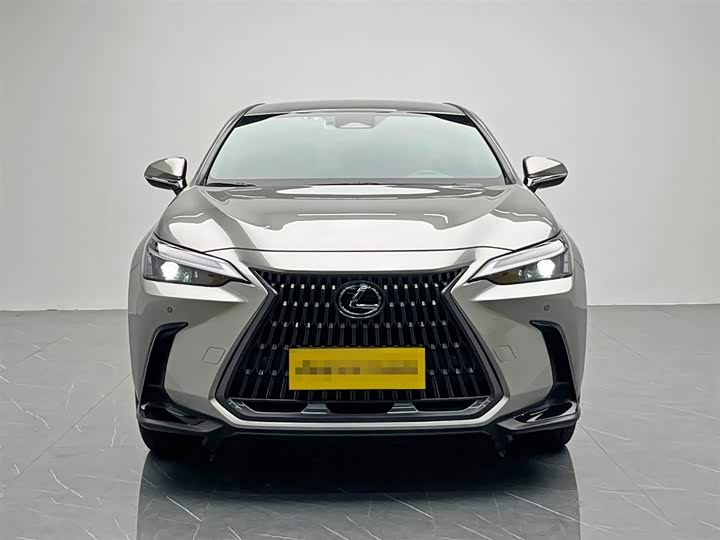 Lexus NX 2024 2024款 260 前驱 创驰版