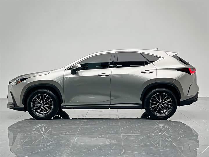 Lexus NX 2024 2024款 260 前驱 创驰版