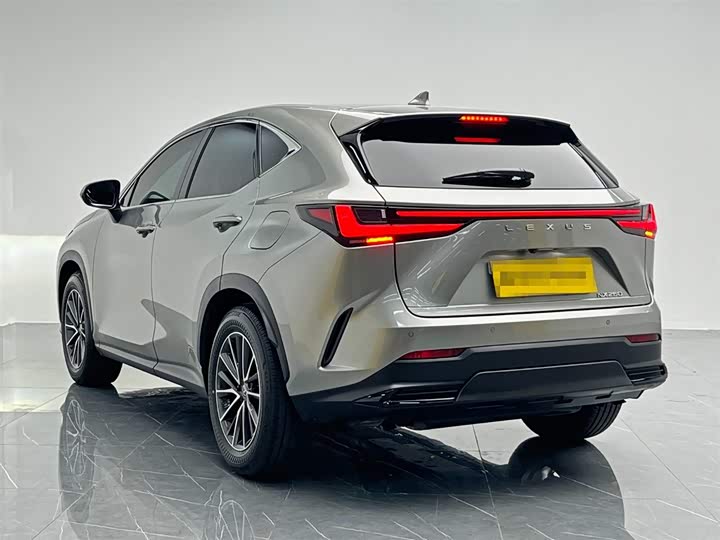 Lexus NX 2024 2024款 260 前驱 创驰版