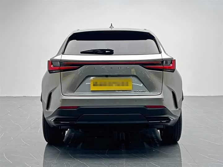 Lexus NX 2024 2024款 260 前驱 创驰版
