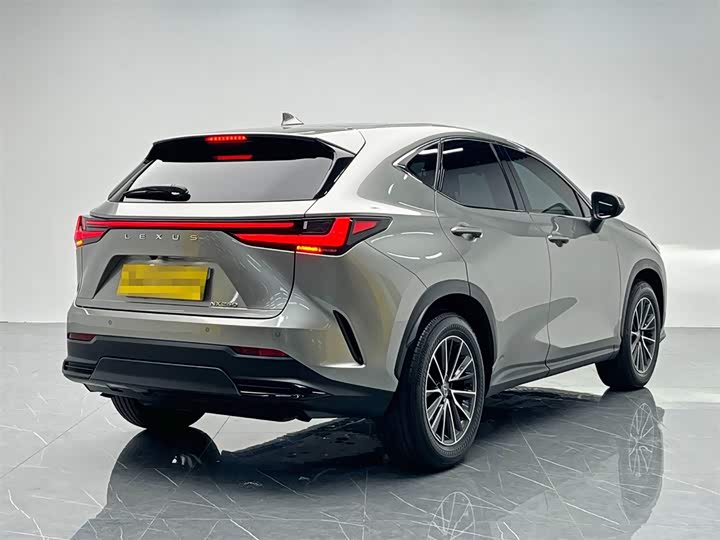 Lexus NX 2024 2024款 260 前驱 创驰版