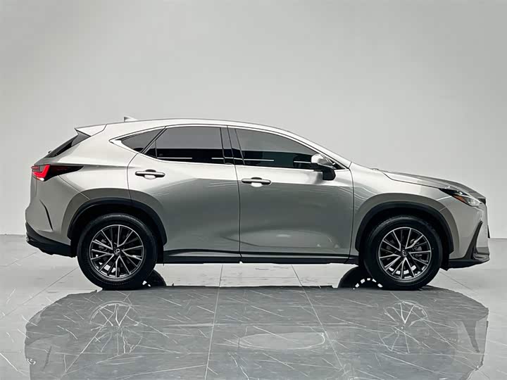 Lexus NX 2024 2024款 260 前驱 创驰版