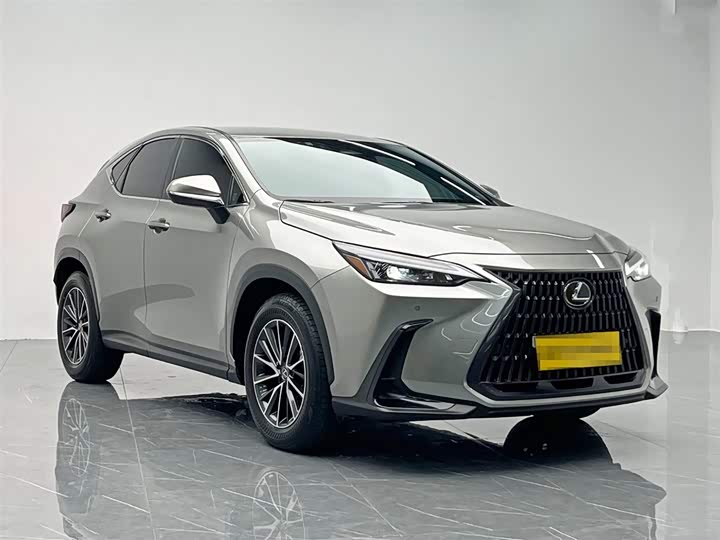 Lexus NX 2024 2024款 260 前驱 创驰版