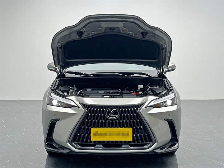 Lexus NX 2024 2024款 260 前驱 创驰版