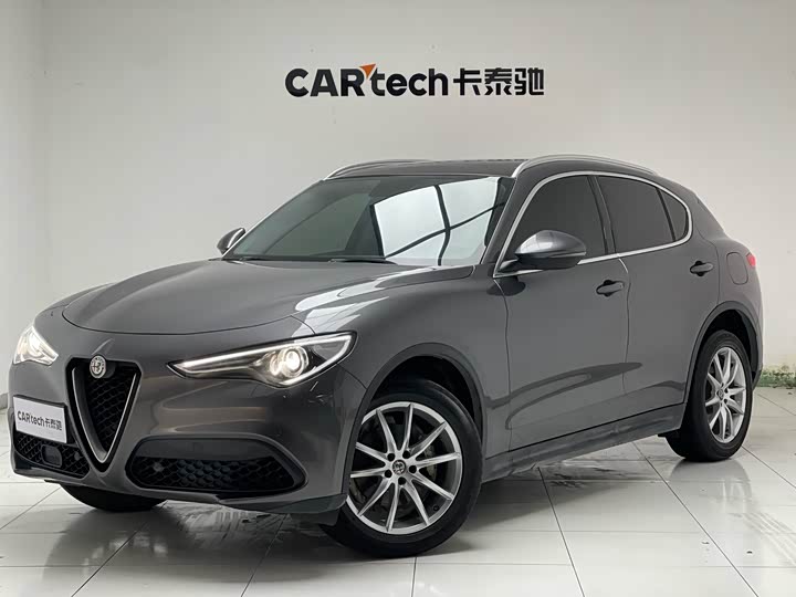Alfa Romeo Stelvio 2020 2020款 2.0T 280HP 豪华版