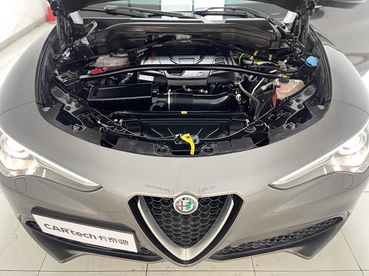 Alfa Romeo Stelvio 2020 2020款 2.0T 280HP 豪华版
