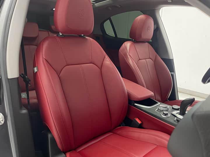 Alfa Romeo Stelvio 2020 2020款 2.0T 280HP 豪华版