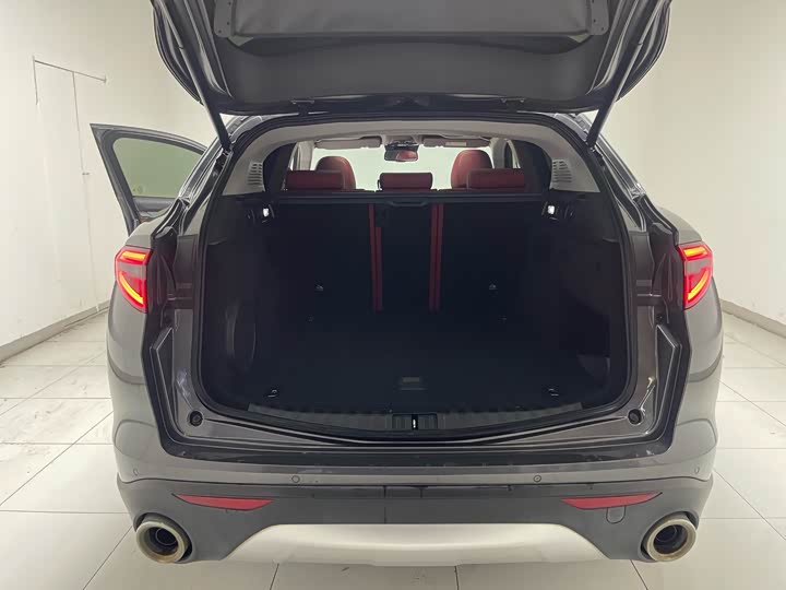 Alfa Romeo Stelvio 2020 2020款 2.0T 280HP 豪华版