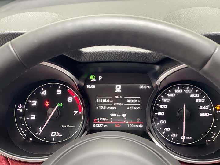 Alfa Romeo Stelvio 2020 2020款 2.0T 280HP 豪华版