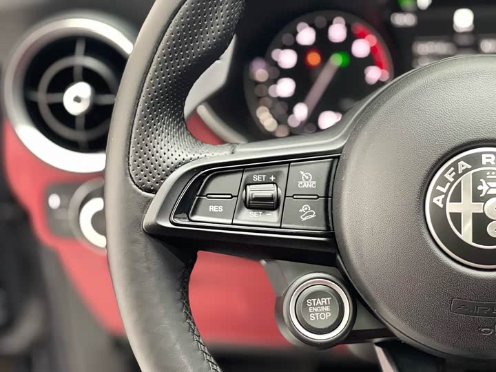 Alfa Romeo Stelvio 2020 2020款 2.0T 280HP 豪华版