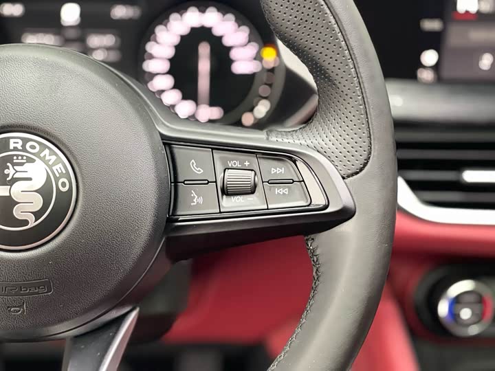 Alfa Romeo Stelvio 2020 2020款 2.0T 280HP 豪华版