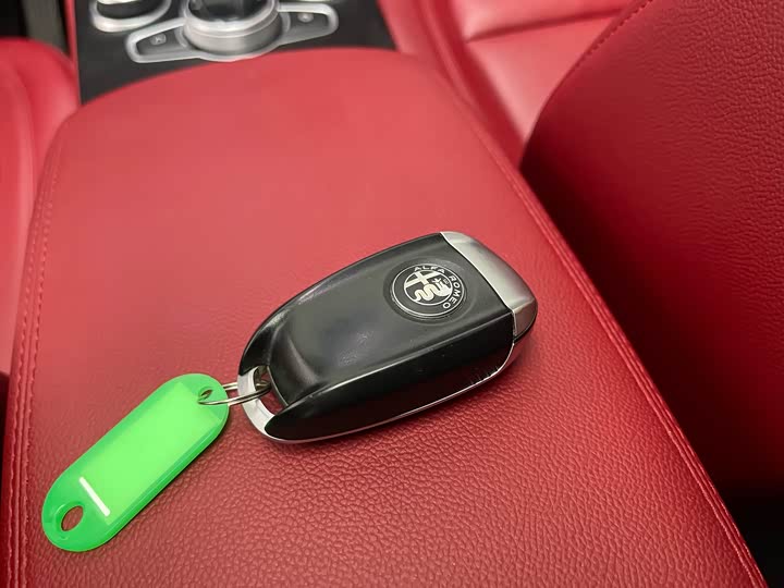 Alfa Romeo Stelvio 2020 2020款 2.0T 280HP 豪华版