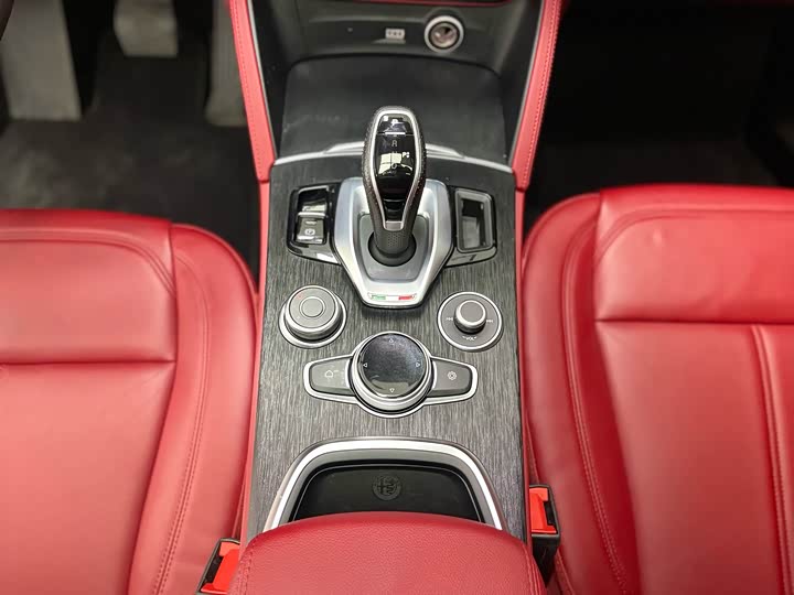 Alfa Romeo Stelvio 2020 2020款 2.0T 280HP 豪华版