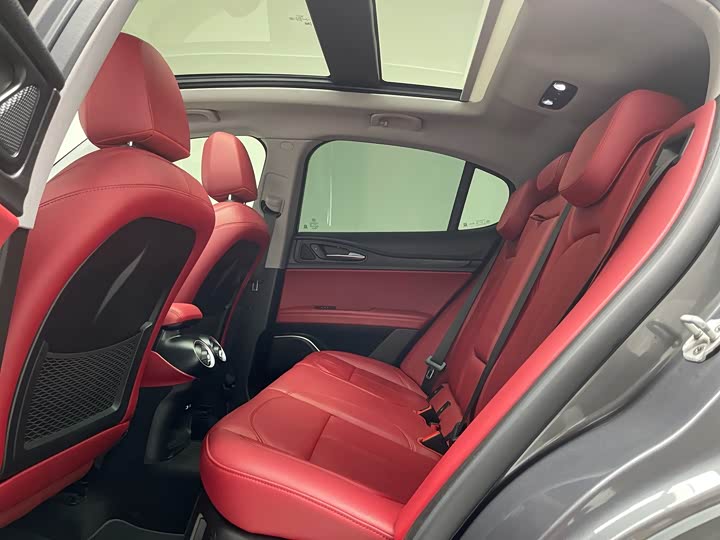 Alfa Romeo Stelvio 2020 2020款 2.0T 280HP 豪华版