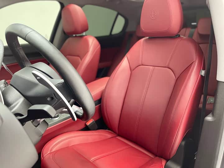 Alfa Romeo Stelvio 2020 2020款 2.0T 280HP 豪华版