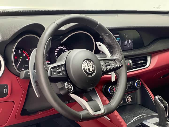 Alfa Romeo Stelvio 2020 2020款 2.0T 280HP 豪华版