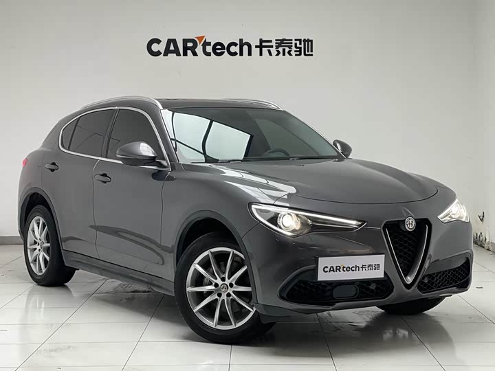 Alfa Romeo Stelvio 2020 2020款 2.0T 280HP 豪华版