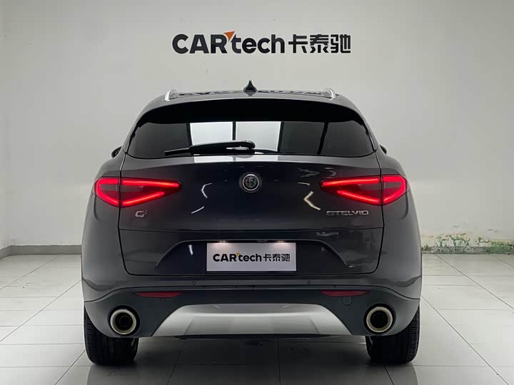 Alfa Romeo Stelvio 2020 2020款 2.0T 280HP 豪华版