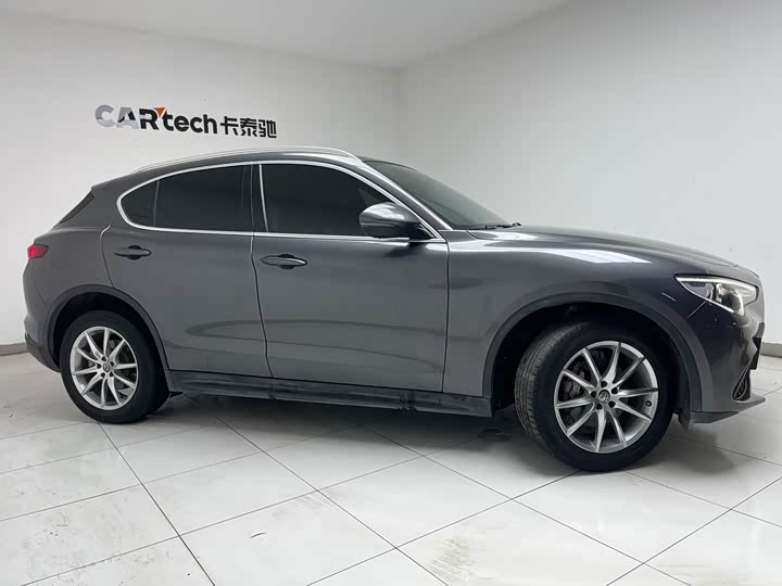 Alfa Romeo Stelvio 2020 2020款 2.0T 280HP 豪华版