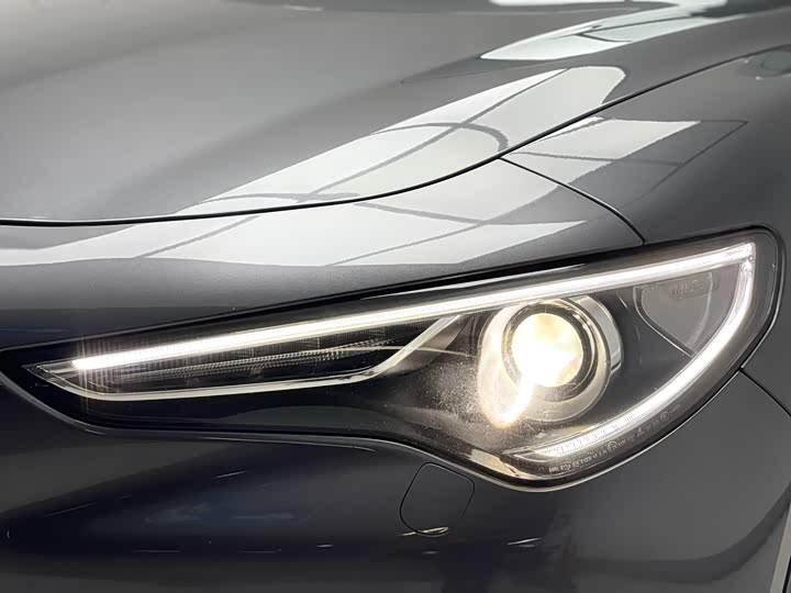 Alfa Romeo Stelvio 2020 2020款 2.0T 280HP 豪华版