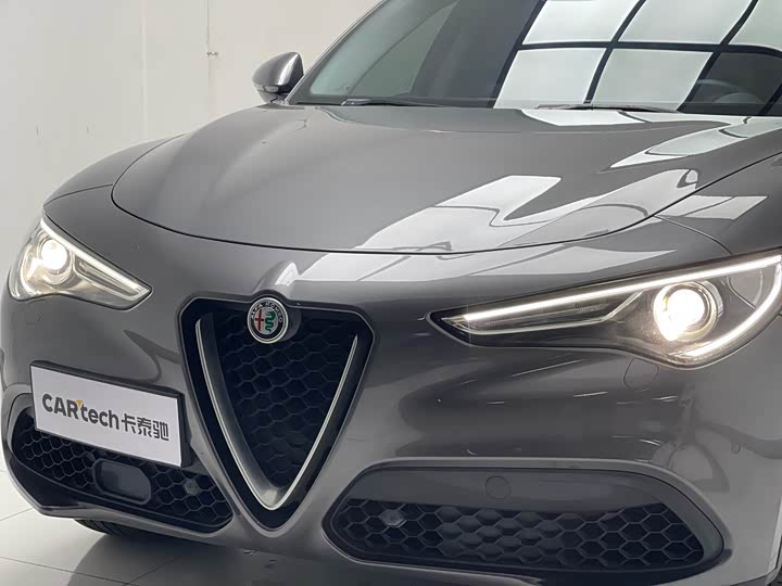 Alfa Romeo Stelvio 2020 2020款 2.0T 280HP 豪华版
