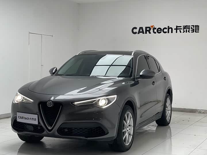 Alfa Romeo Stelvio 2020 2020款 2.0T 280HP 豪华版