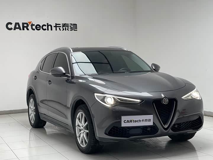 Alfa Romeo Stelvio 2020 2020款 2.0T 280HP 豪华版
