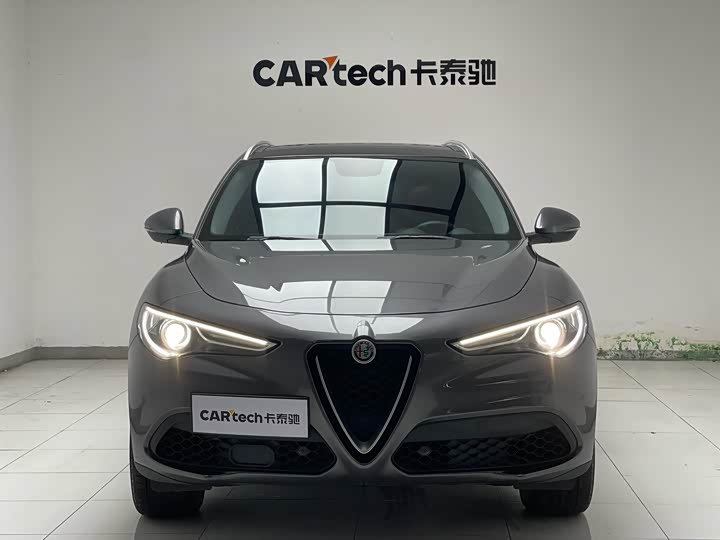 Alfa Romeo Stelvio 2020 2020款 2.0T 280HP 豪华版