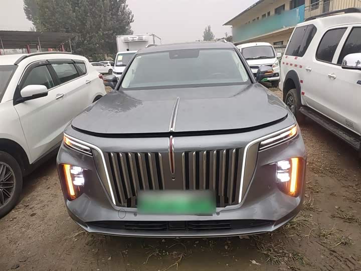 Hongqi E-HS9 2022 2022款 690km 旗享版 六座