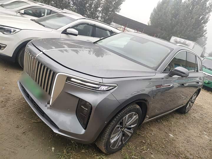 Hongqi E-HS9 2022 2022款 690km 旗享版 六座