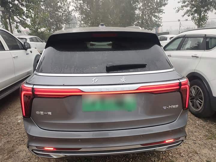 Hongqi E-HS9 2022 2022款 690km 旗享版 六座