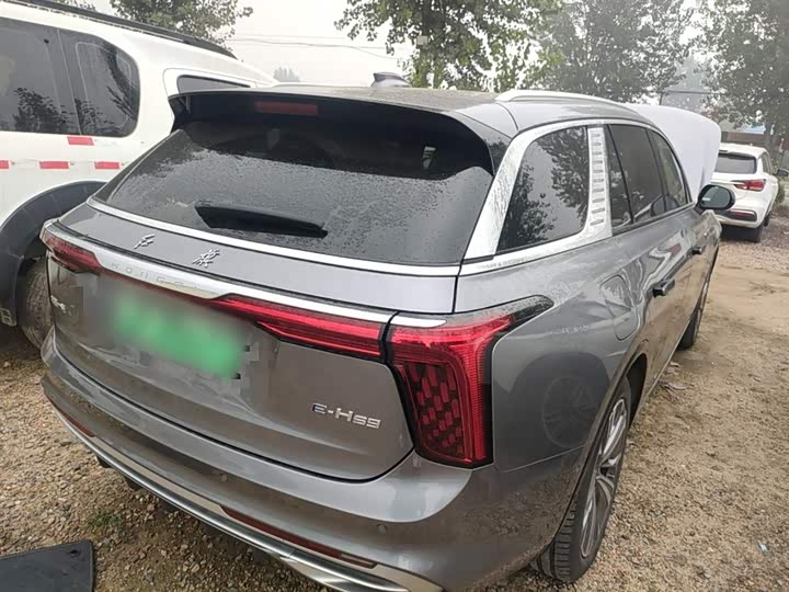 Hongqi E-HS9 2022 2022款 690km 旗享版 六座