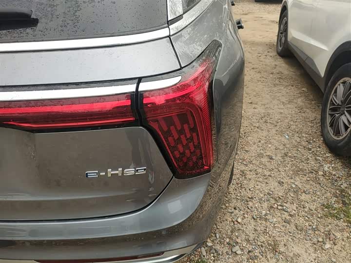 Hongqi E-HS9 2022 2022款 690km 旗享版 六座