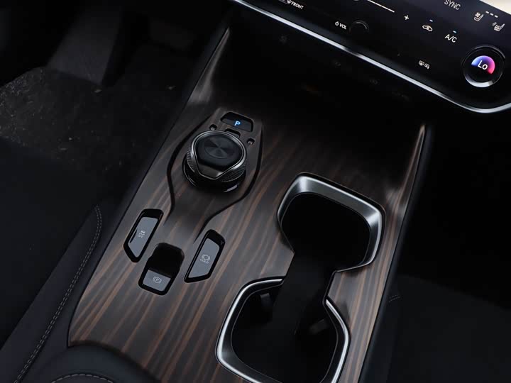 Lexus RZ 2023 2023款 450e 四驱纵领版