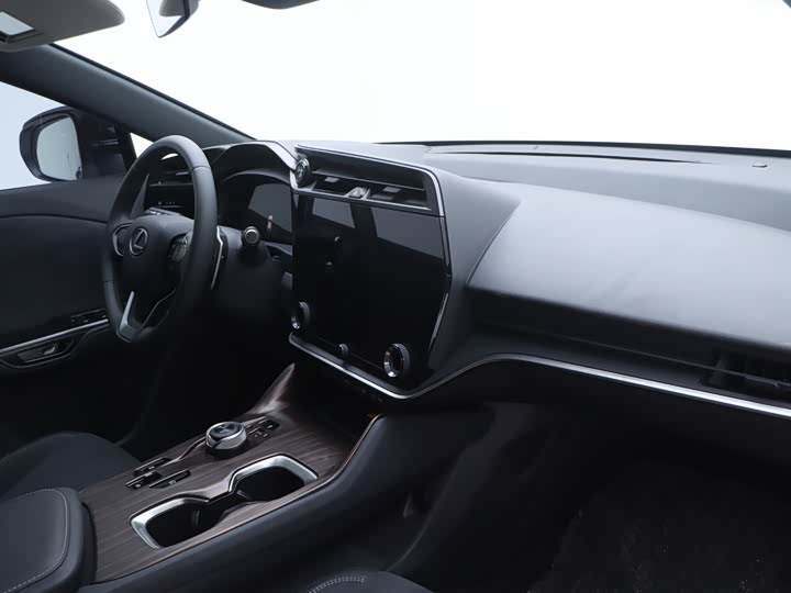 Lexus RZ 2023 2023款 450e 四驱纵领版