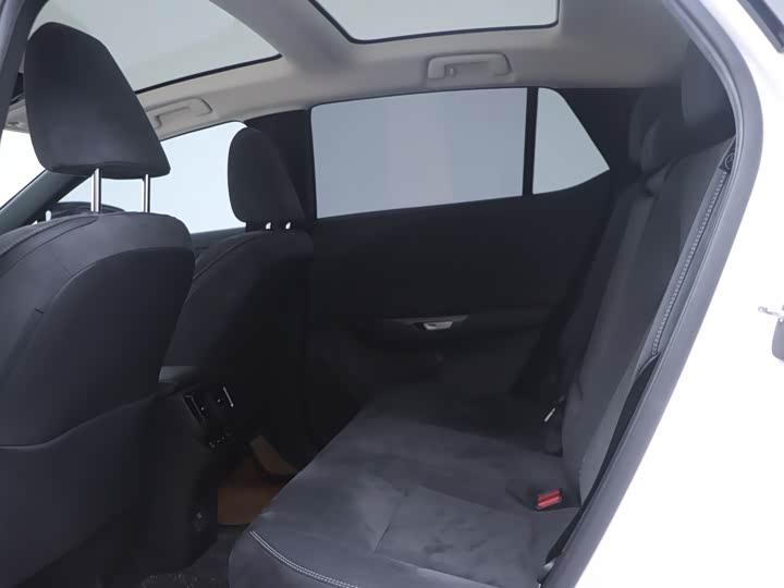 Lexus RZ 2023 2023款 450e 四驱纵领版