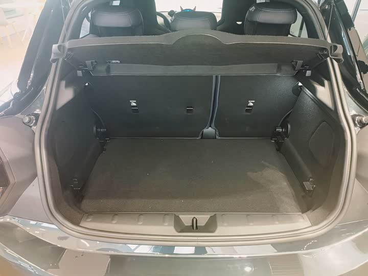 Mini Mini 2025 2025款 2.0T COOPER S 艺术家 五门版