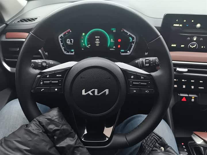 Kia Sportage GT-line 2021 2021款 Ace 2.0L 精彩版