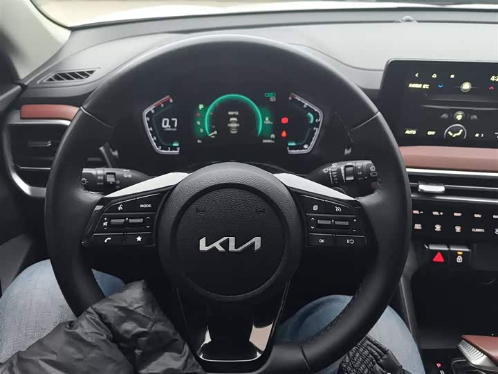 Kia Sportage GT-line 2021 2021款 Ace 2.0L 精彩版