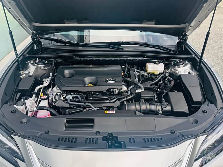 Lexus ES 2025 2025款 300h 臻享版