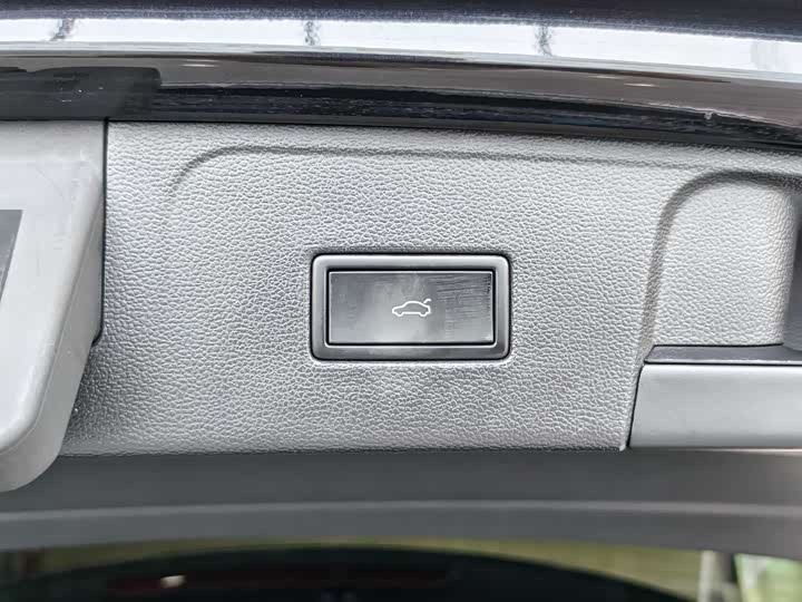 Volkswagen Teramont Pro 2024 2024款 530 V6 四驱龙祥版