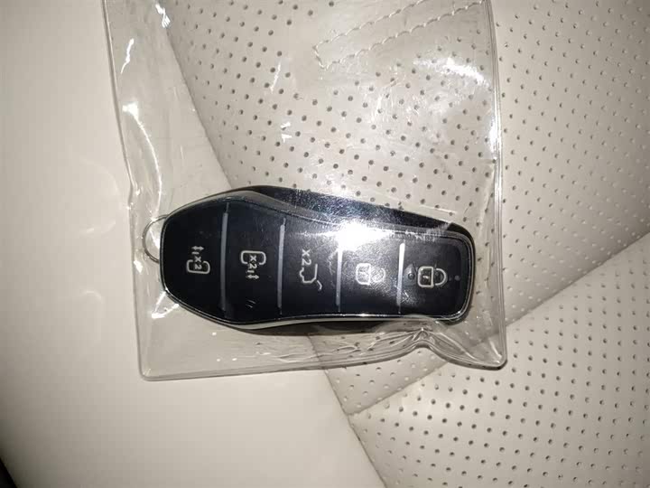 BYD Xia 2025 2025款 DM-i 1.5T 180km 卓越型