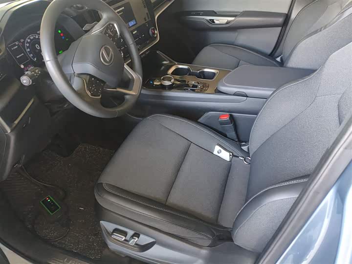 Lexus RZ 2023 2023款 450e 四驱纵享版